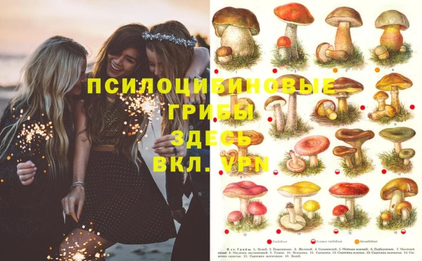 винт Арсеньев